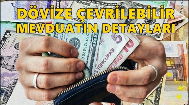 İşte yeni kur korumalı sistemin ayrıntıları...