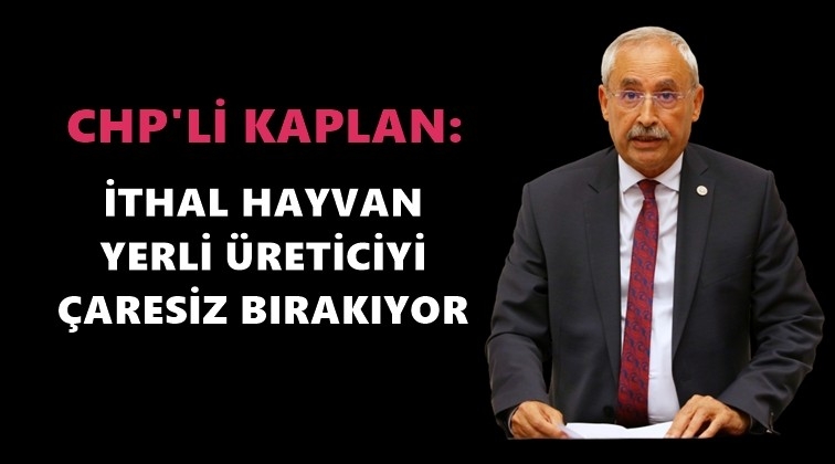İthal hayvan yerli &uuml;reticiyi mağdur ediyor