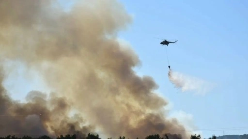 İzmir Bornova'da orman yangını: 3 kişi gözaltında