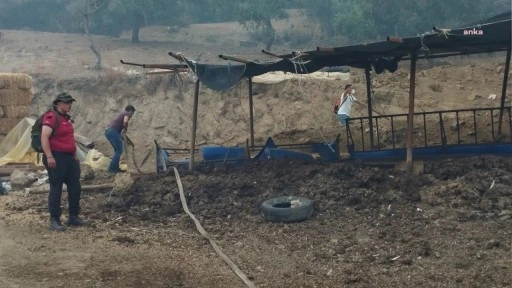 İzmir Büyükşehir Belediye Başkanı Tugay Ödemiş’te yangın bölgesinde: “Bu bir afet, bu bir felaket”
