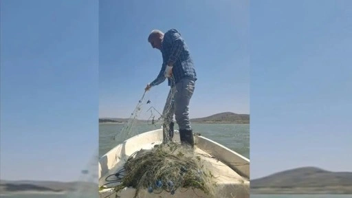 Kaçak avcıların ağı denetimde ortaya çıktı: Hepsi imha edildi