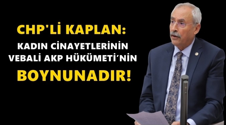 Kadın cinayetleri meclis g&uuml;ndeminde