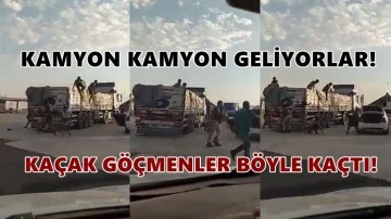 Kamyon kasasından kaçak göçmen fışkırdı!