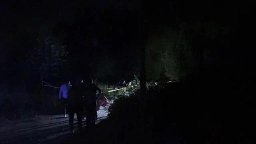 Kan donduran olay… Yol üzerinde boğazı kesilmiş cansız beden bulundu