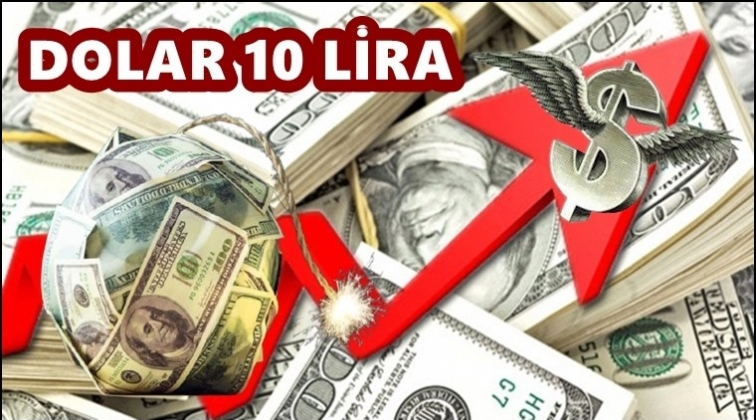 Kapalı&ccedil;arşı'da dolar 10 lirayı ge&ccedil;ti!