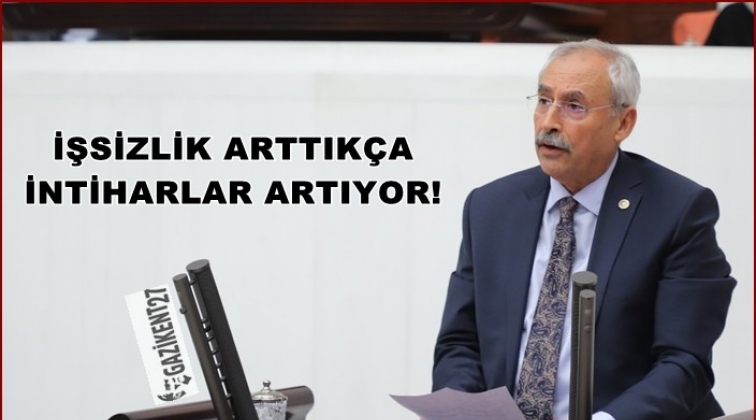 Kaplan, artan intiharları meclise taşıdı