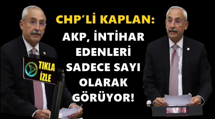 Kaplan: Bu b&uuml;t&ccedil;ede yandaş, peşkeş ve saray var