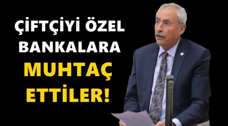 Kaplan, &ccedil;ift&ccedil;ilerin sorunlarını Meclis'e taşıdı