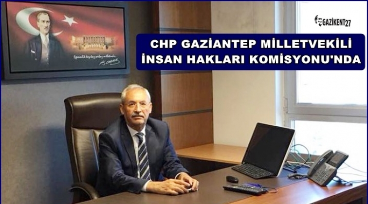 Kaplan, İnsan Hakları Komisyonu'na se&ccedil;ildi