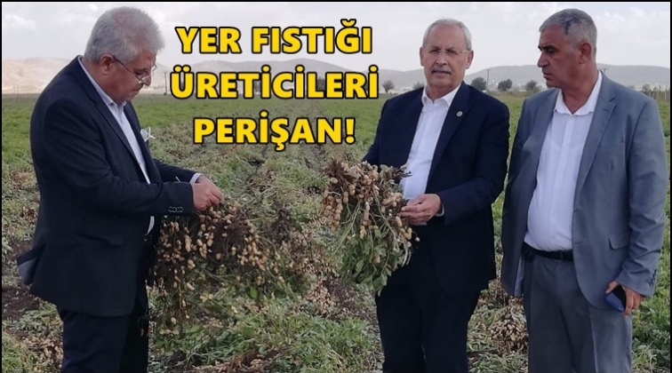 Kaplan, İslahiye ve Nurdağı'nda sorunları dinledi...