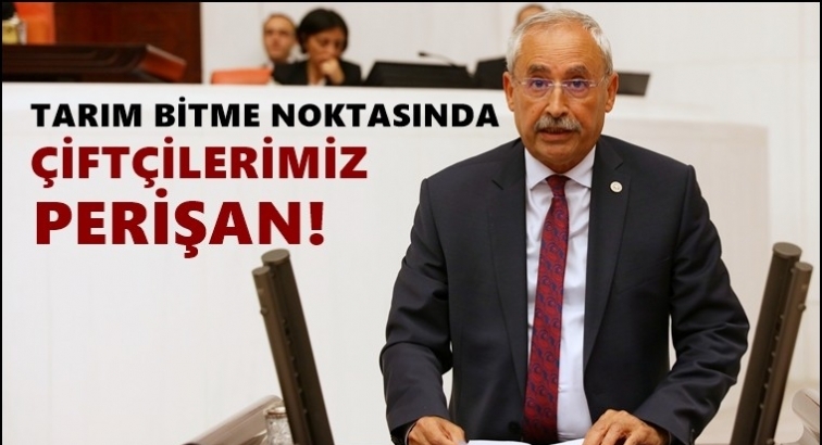 Kaplan: Tarım artık bitme noktasına geldi!