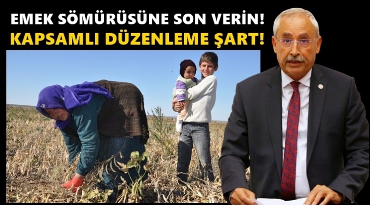 Kaplan: Tarım iş&ccedil;ileri i&ccedil;in d&uuml;zenleme şart!