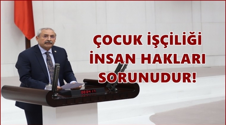 Kaplan'dan &ccedil;ocuk iş&ccedil;iliği i&ccedil;in araştırma &ouml;nergesi