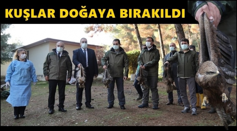 Kartal ve şahinin tedavileri tamamlandı