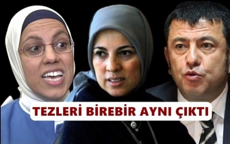 Kavak&ccedil;ı kardeşlerin tezleri birebir aynı &ccedil;ıktı!