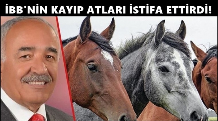 'Kayıp at' skandalı MHP'den de istifa ettirdi!