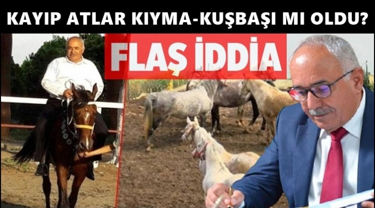 Kayıp atlar, kıyma-kuşbaşı mı oldu?