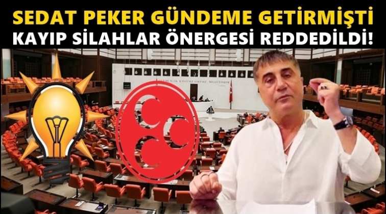Kayıp silahlar &ouml;nergesini, AKP ve MHP reddetti!