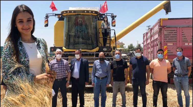Kaymakam U&ccedil;ar, buğday hasadı yaptı...