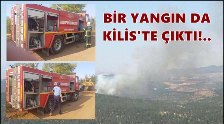 Kilis&rsquo;te de orman yangını &ccedil;ıktı!..