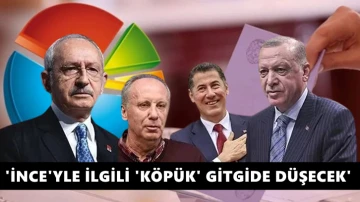 KONDA Genel M&uuml;d&uuml;r&uuml;: İnce'yle ilgili 'k&ouml;p&uuml;k' gitgide d&uuml;şer!