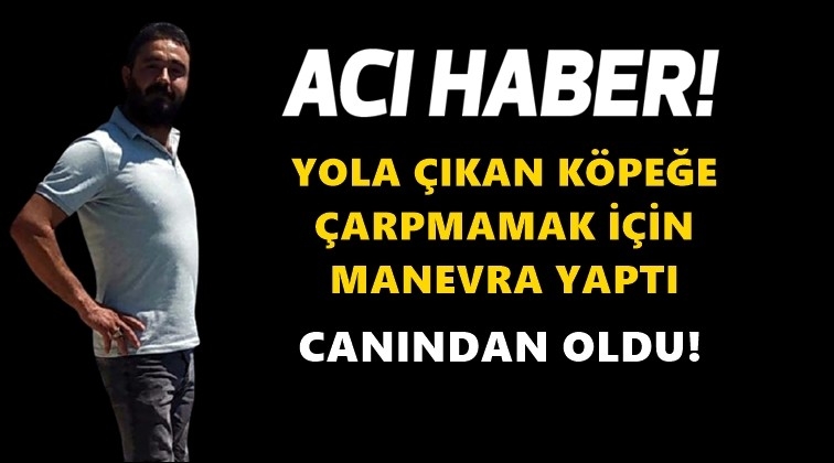 K&ouml;peğe &ccedil;arpmamak i&ccedil;in canından oldu!