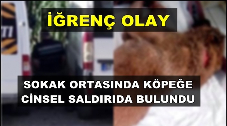 K&ouml;peğe cinsel saldırıda bulunurken yakalandı!