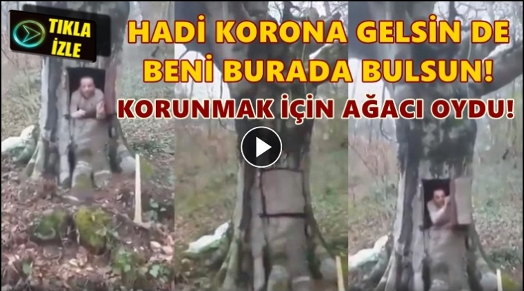 Koronavir&uuml;sten korunmak i&ccedil;in ağacı oydu!