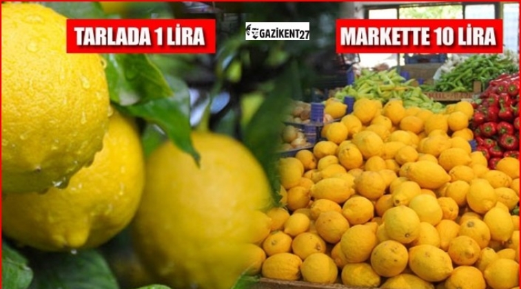 Limonun kilogram fiyatı 10 TL’yi buldu