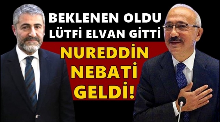 Lütfi Elvan affını istedi, Erdoğan kabul etti!