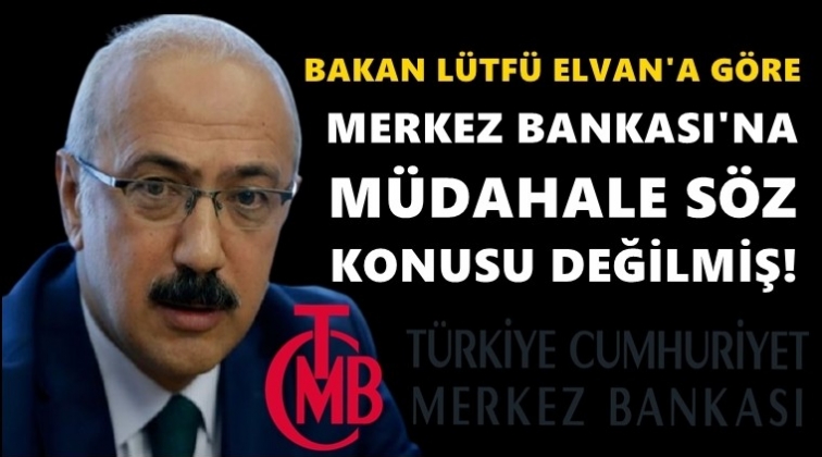 L&uuml;tfi Elvan'dan 'Merkez Bankası&rsquo;na m&uuml;dahale' a&ccedil;ıklaması
