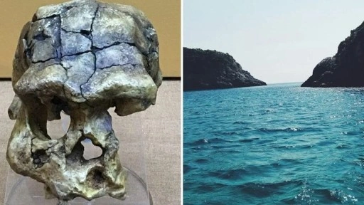 Madura Boğazı’nda keşfedildi: 140 bin yıllık kafatası tarihi değiştiriyor
