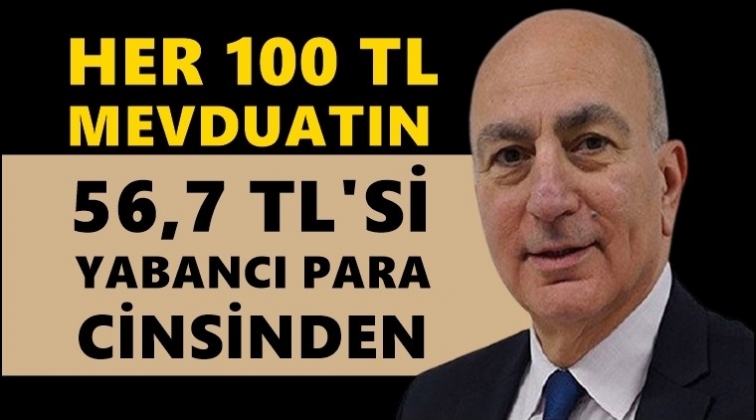 Mahfi Eğilmez: Dolarizasyon y&uuml;zde 56.7...