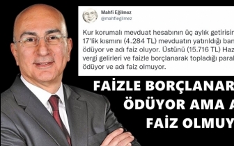 Mahfi Eğilmez, Hazine'ye faiz y&uuml;k&uuml;n&uuml; hesapladı!