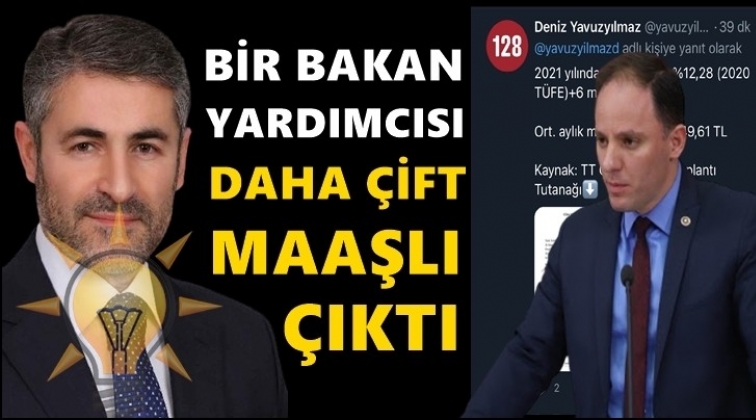 Maliye Bakanı&rsquo;nın yardımcısı da &ccedil;ift maaşlı &ccedil;ıktı!
