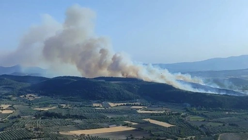 Manisa’nın Kırkağaç ilçesinde orman yangını
