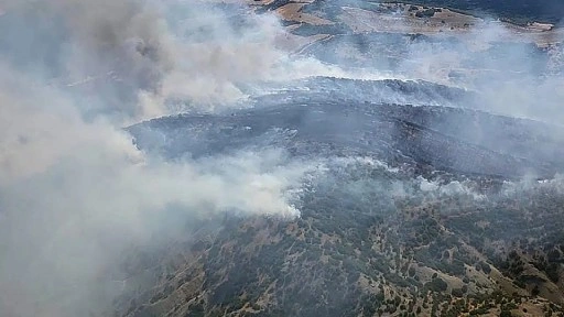 Manisa'nın Kula ilçesindeki orman yangını: Yangına müdahale sürüyor