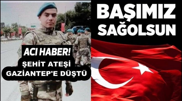 Mardin'den acı haber: Şehidin var Gaziantep