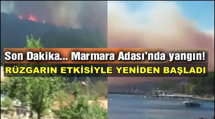 Marmara Adası&rsquo;ndaki yangın yeniden alevlendi