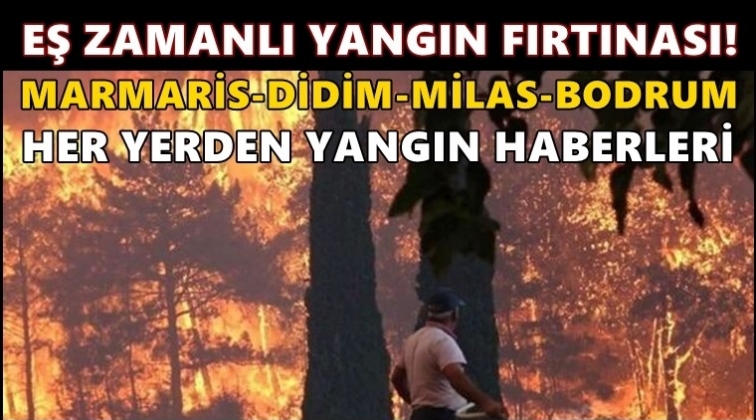 Marmaris, Milas, Didim ve Bodrum’da yangın!