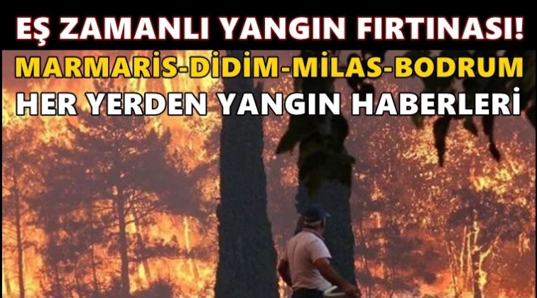 Marmaris, Milas,&nbsp;Didim ve Bodrum&rsquo;da yangın!