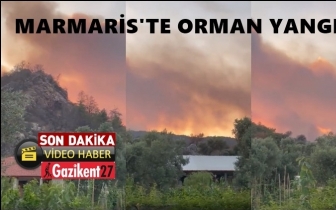 Marmaris'te orman yangını...