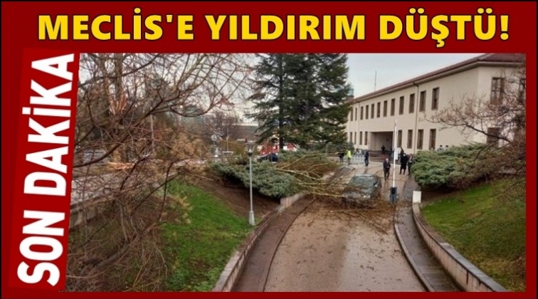 Meclis bah&ccedil;esine yıldırım d&uuml;şt&uuml;!