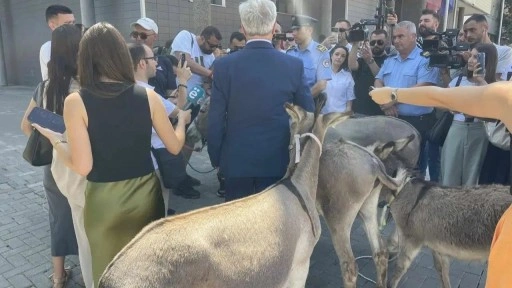 Meclis başkanının seçilememesi 'eşeklerle' protesto edildi