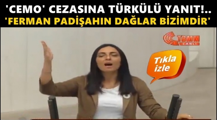 Meclis kürsüsünde 'Dadaloğlu' türküsü...