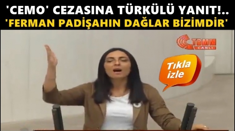 Meclis k&uuml;rs&uuml;s&uuml;nde 'Dadaloğlu' t&uuml;rk&uuml;s&uuml;...
