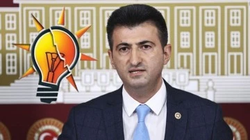 Mehmet Ali &Ccedil;elebi, artık resmen AKP'li...