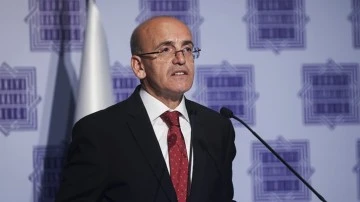 Mehmet Şimşek’ten Hafize Gaye Erkan açıklaması