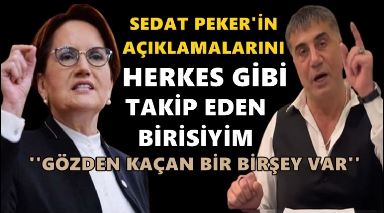 Meral Akşener'den Sedat Peker a&ccedil;ıklaması...
