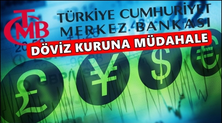 Merkez Bankası'ndan d&ouml;viz kuruna m&uuml;dahale!
